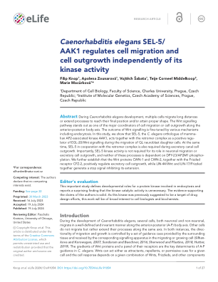 秀丽隐杆线虫 SEL- 5/ AAK1 调节细胞...
